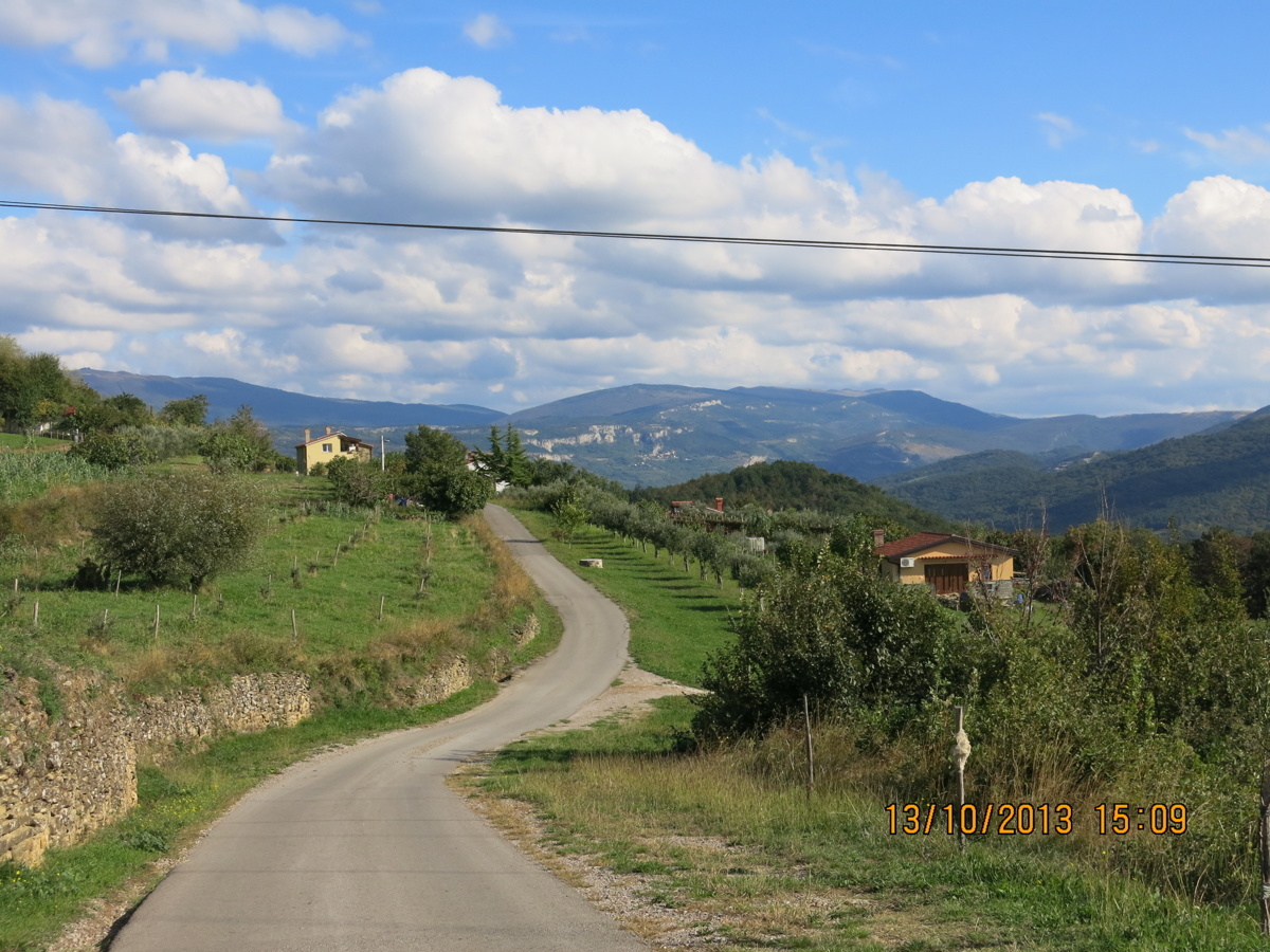 Škofije