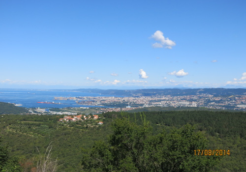 Škofije
