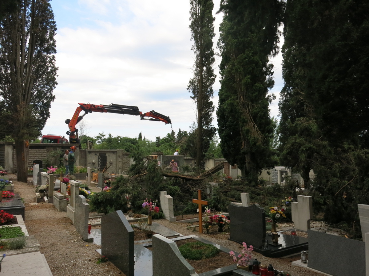 sanacija pokopališče Škofije